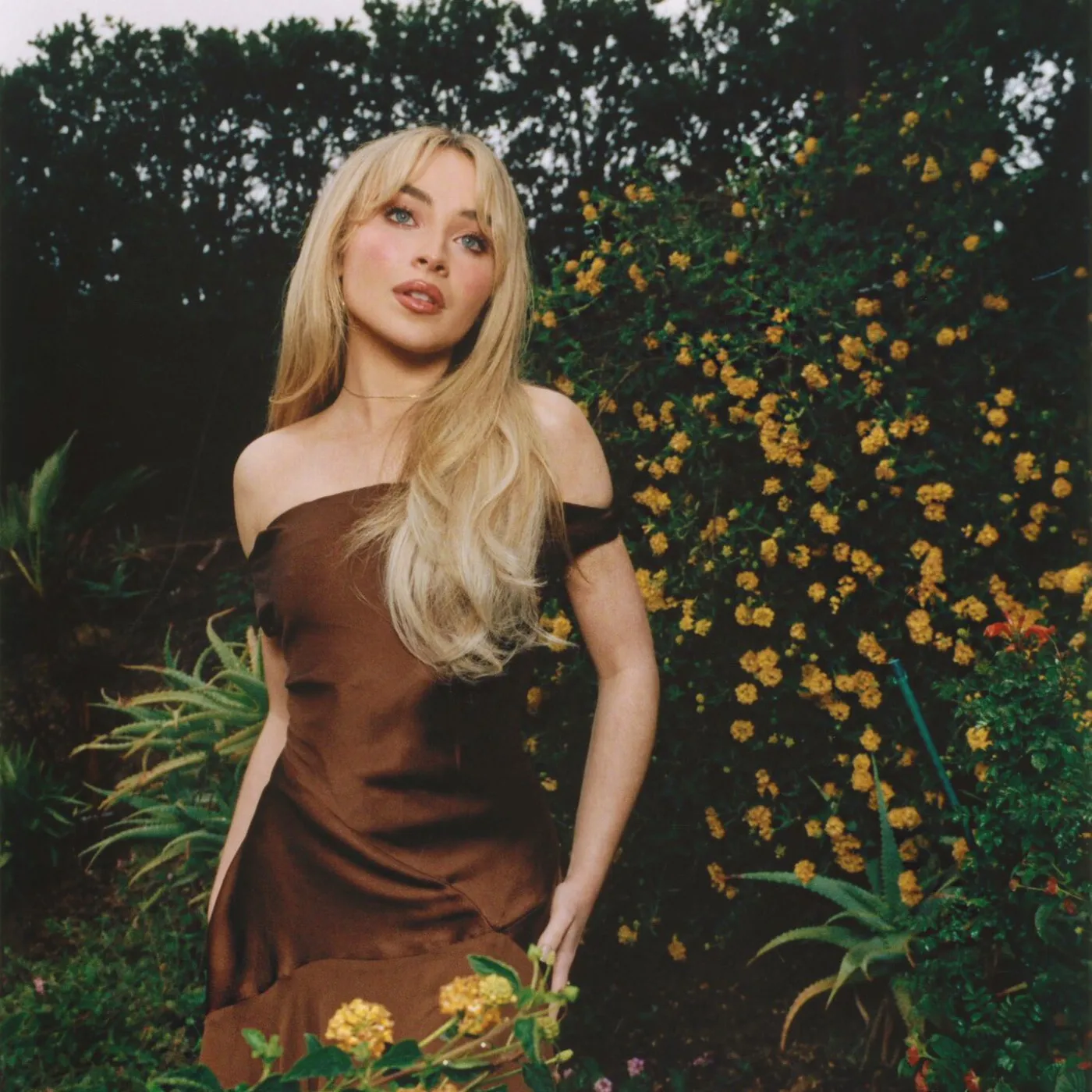 Cute or Calculated? Sabrina Carpenter’s Puppy-Centric Promo Has Industry Whispering