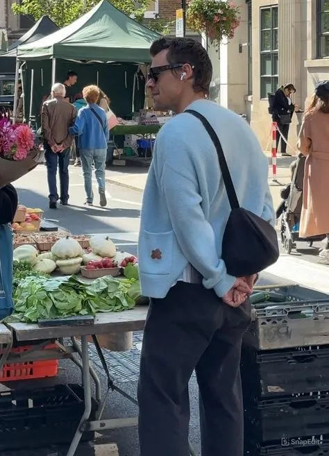 image_6881c79551120 Fans Are Losing It Over This Tiny Paris Detail in Harry Styles’ Photos — Zoom In and You’ll See What We All Missed