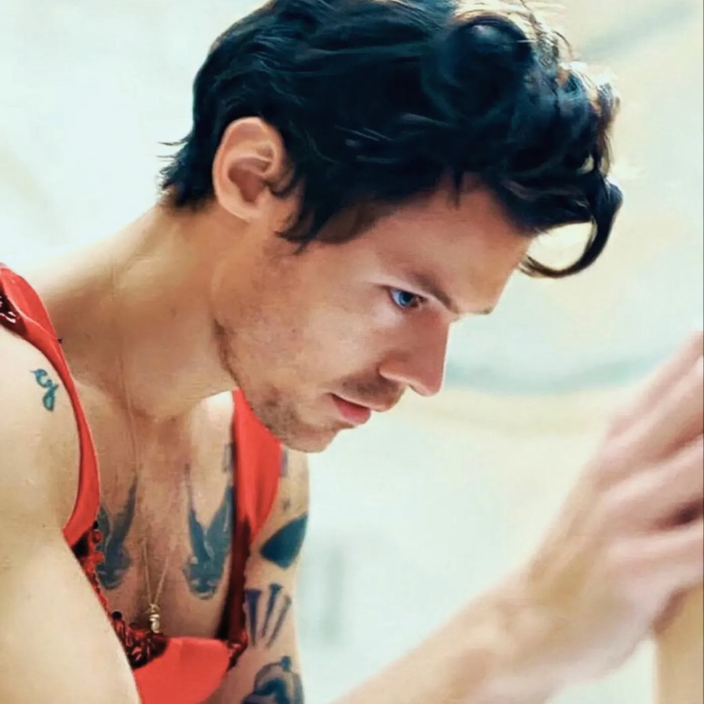 image_6881e3f3bdd59 This Is Not a Drill: Harry Styles Just Entered a VERY Unexpected Industry