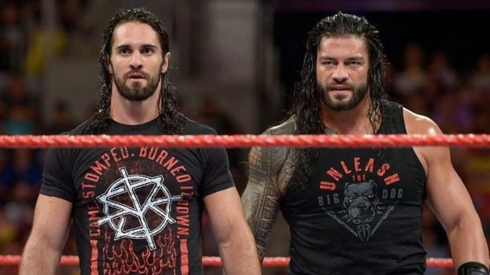 image_6882e84910cc2 Rollins Down and Out, Roman Reigns Throws Shade – Has the Brotherhood Been Fake All Along?