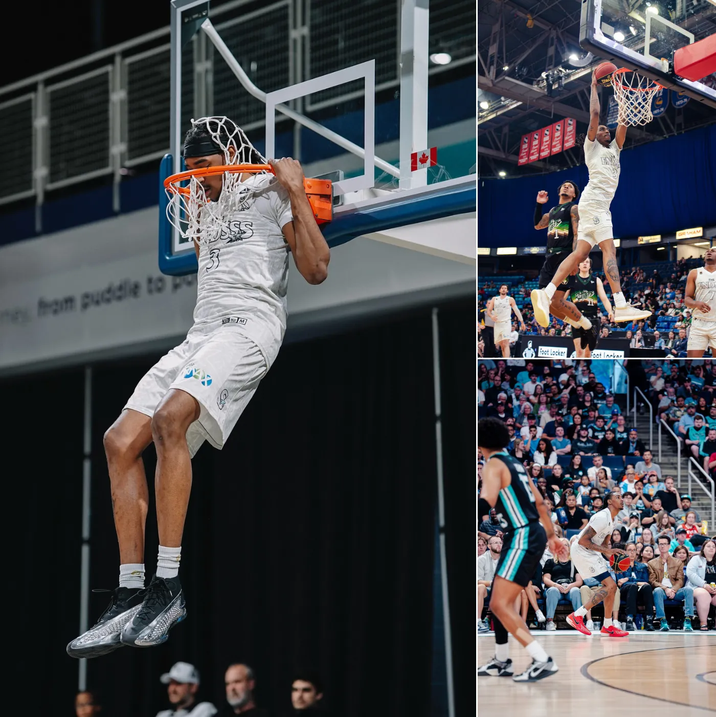 If you are a fan of Donovan Williams, don't even consider reading this, you will be disappointed.