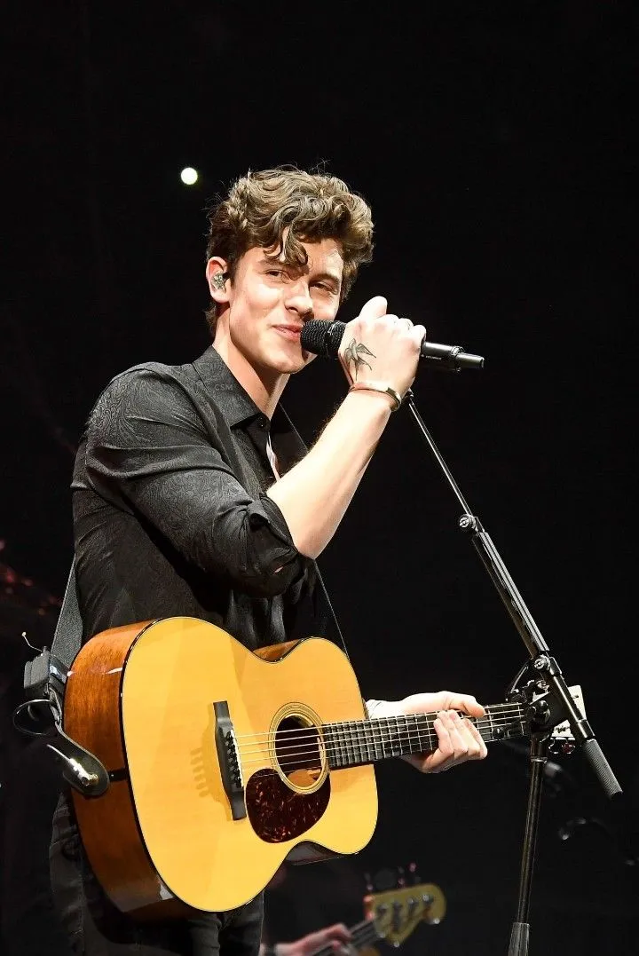 image_688378e245e8f He Wasn’t Raised Like Us — The Leaked System That Built Shawn Mendes Is Sending Chills