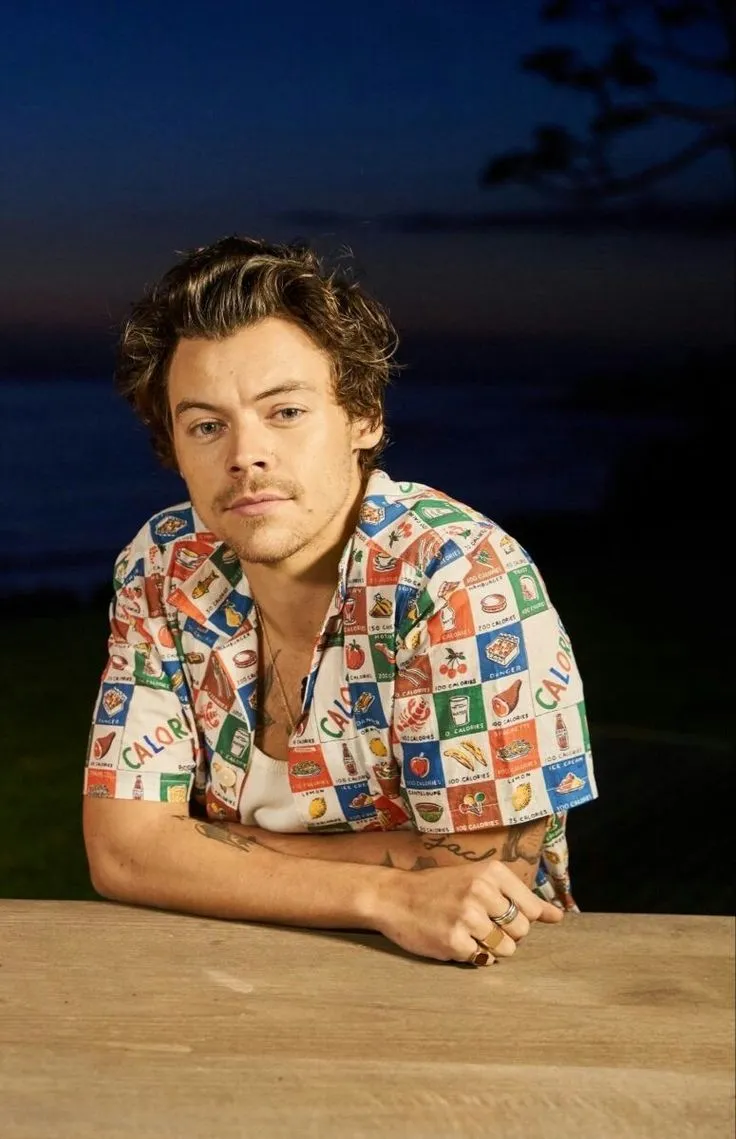 image_68838224cae7b Harry Styles Breaks His Silence on Years of Hidden Struggles — The Truth About His Identity and the Music He Was Afraid to Make