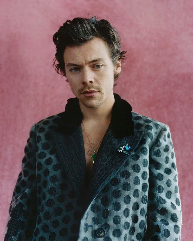 Were They More Than Bandmates? Inside the Harry Styles and Mitch Rowland Speculation Everyone’s Talking About