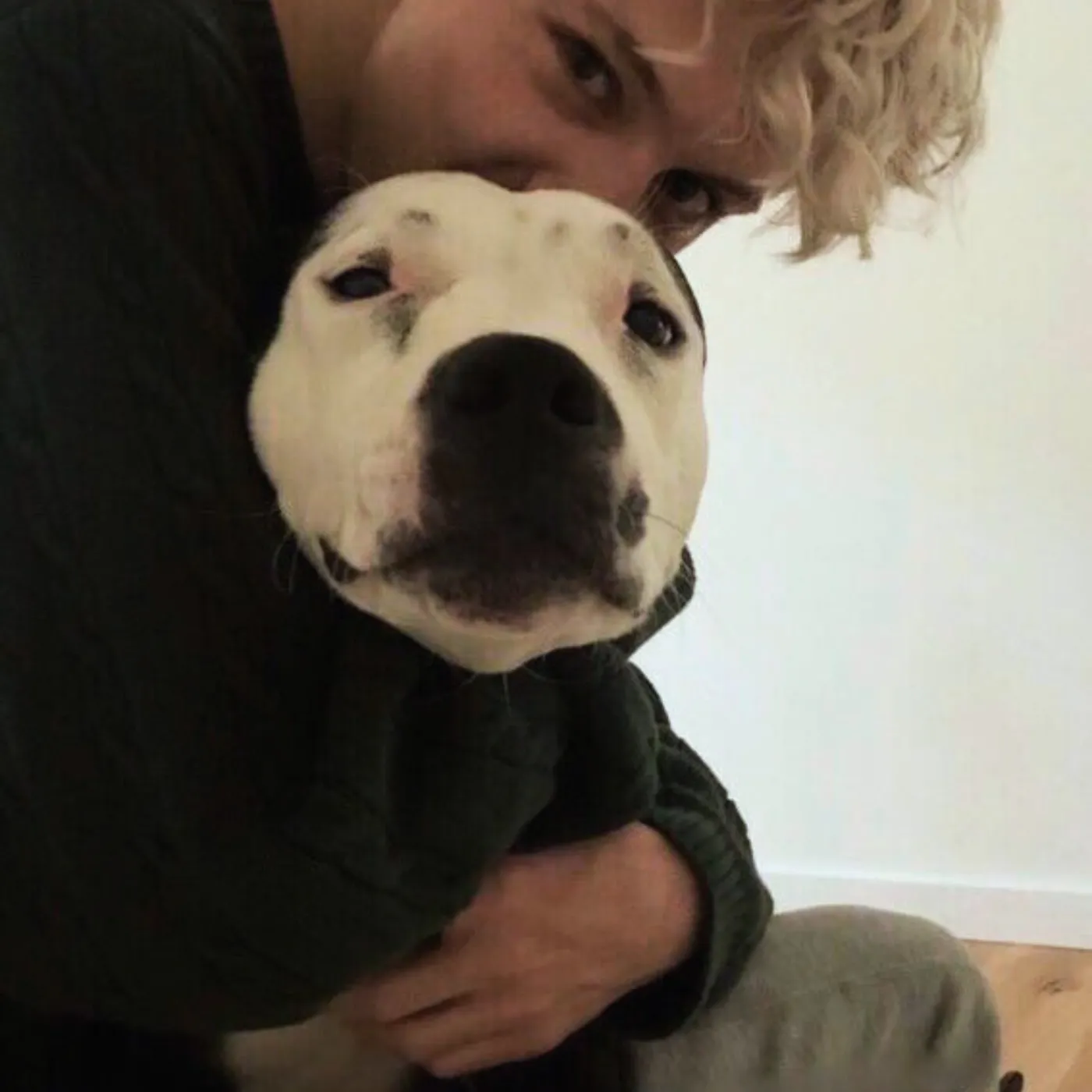 image_688444aec67f9 Troye Sivan's Dark Year: How He Coped With the Heartache of Being Separated From His Dog