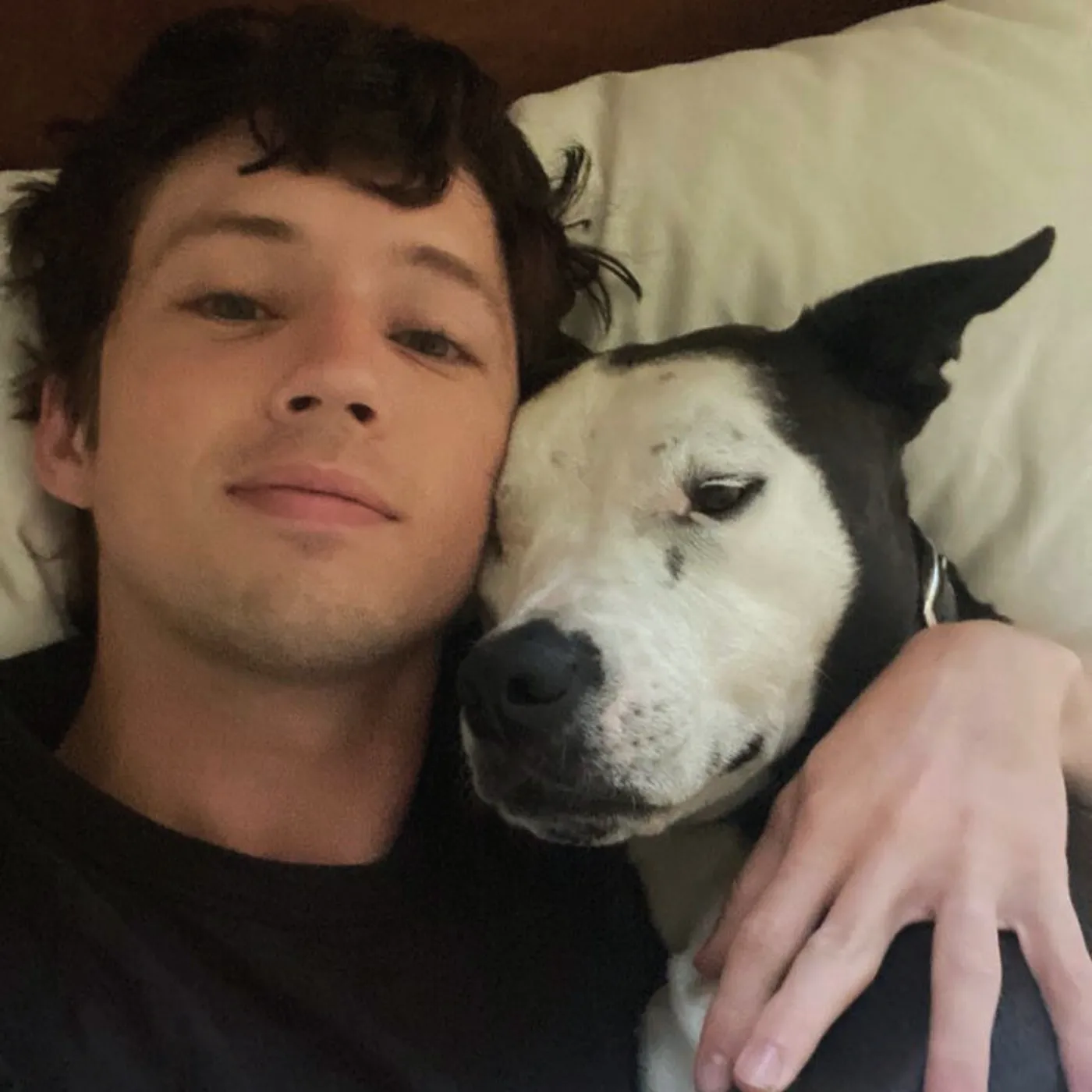 image_688444b043b9d Troye Sivan's Dark Year: How He Coped With the Heartache of Being Separated From His Dog