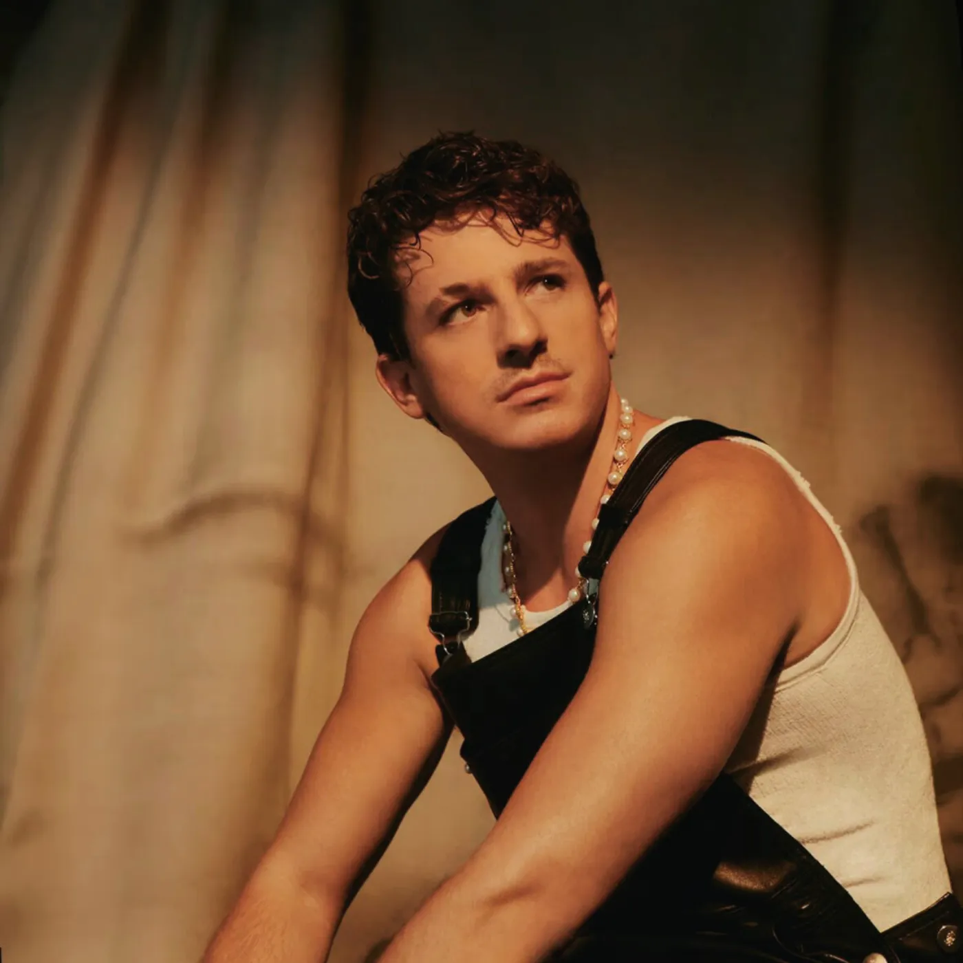 image_68861df90c423 This Random Video Just Triggered A Full Charlie Puth Album Theory