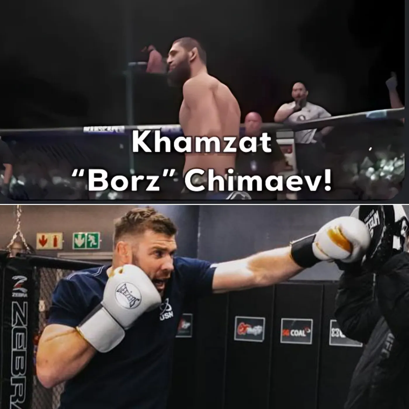 image_6886e5c8844ef Practice punching the pads... but my mind is thinking about you - khamzat_chimaev, you will get this punch soon, be careful