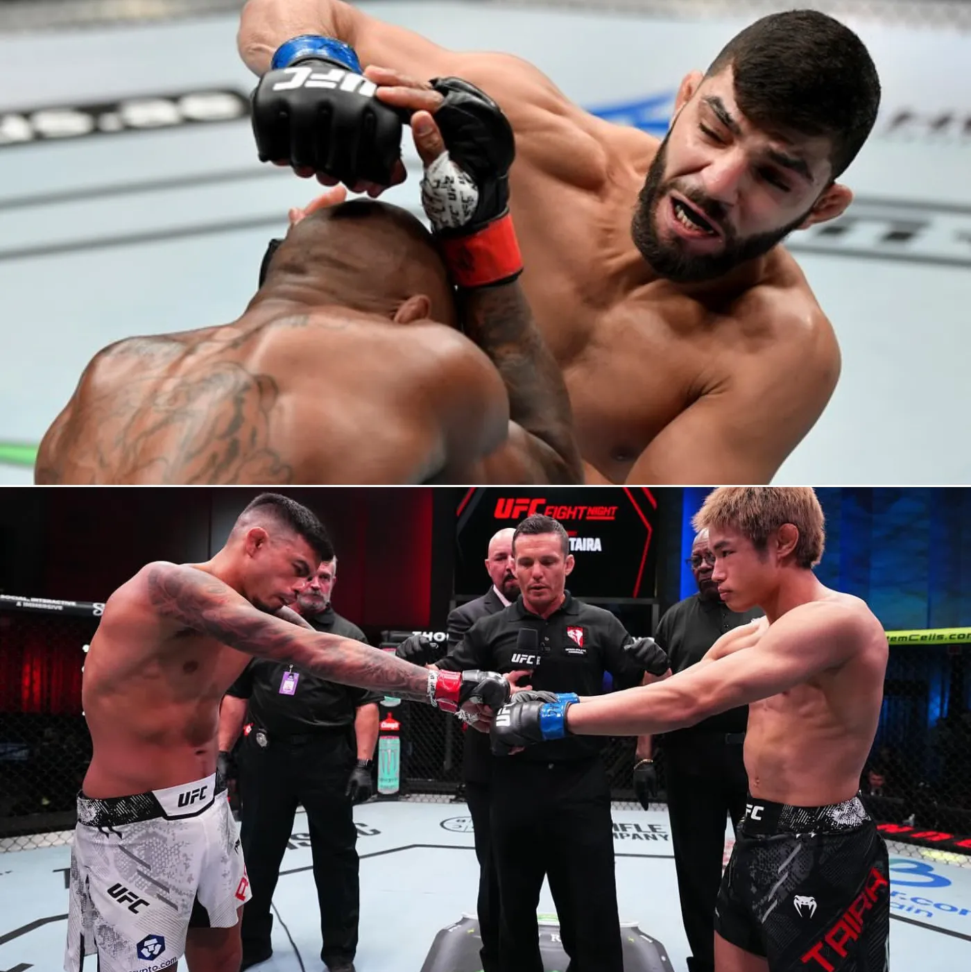 image_688701be0bf0f Amiralbazi Pouted and Replied: “Who Is the Opponent? Sorry, I Only Remember the Number of Wins, Not the Name of the Loser.”