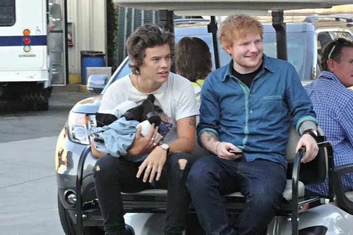 image_68886c474e2c0 Ed Sheeran Just Exposed Harry Styles’ Closest-Kept Secret — Fans Are Spiraling Over What He Revealed