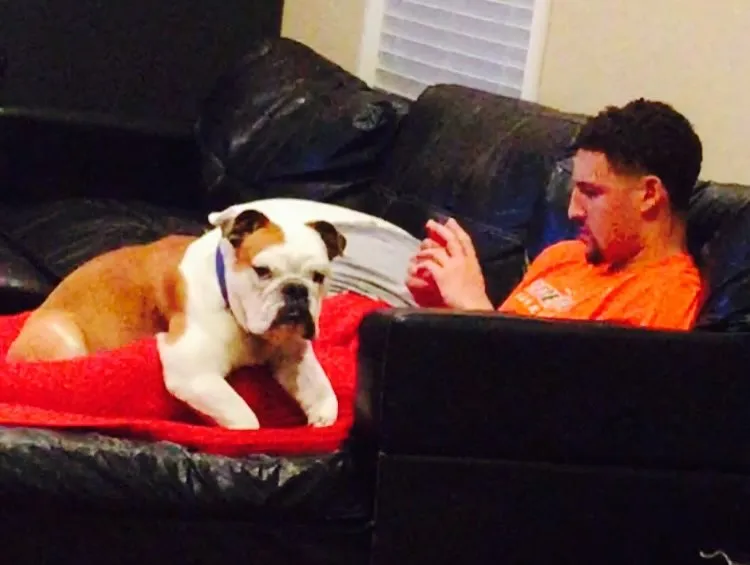 image_6889a3e36c312 Klay Thompson Sadly Says: I’ll Miss Him So Much, Rocco – What Happened to His Beloved Companion?