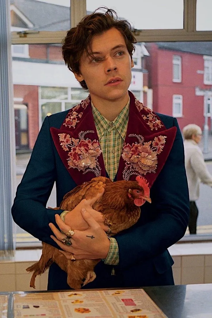 image_6889e5737abe0 Fans Are Shocked: Harry Styles Is Being Compared to... Gonzo from The Muppets – But There’s a Very Good Reason!