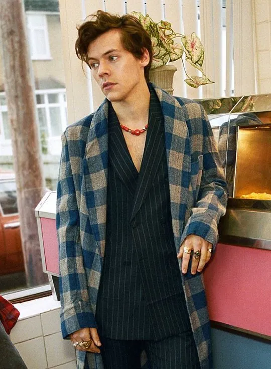 image_6889e57404ca3 Fans Are Shocked: Harry Styles Is Being Compared to... Gonzo from The Muppets – But There’s a Very Good Reason!
