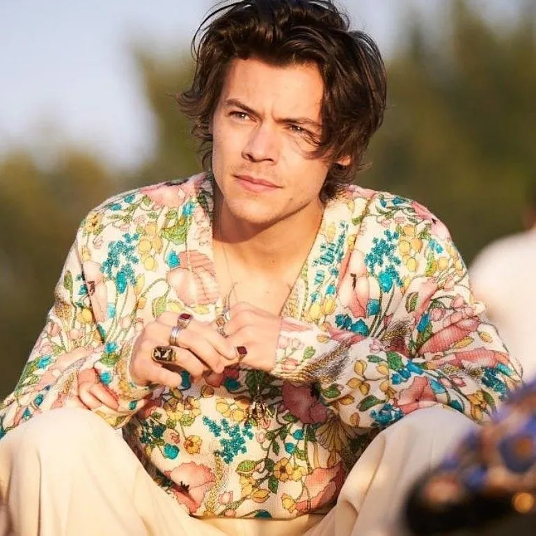 Fans Are Shocked: Harry Styles Is Being Compared to... Gonzo from The Muppets – But There’s a Very Good Reason!
