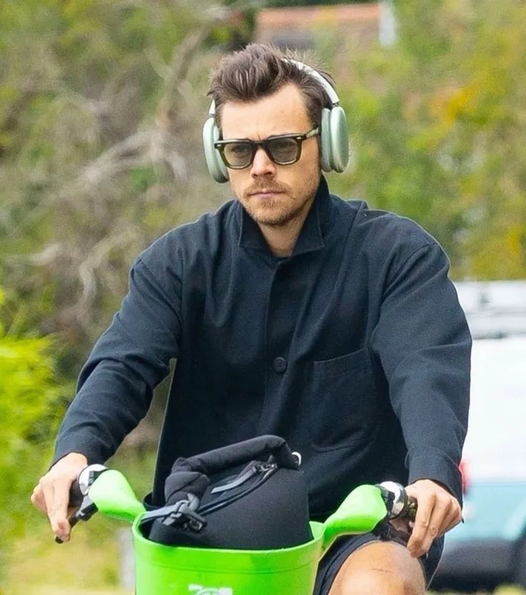 Harry Styles Finally Breaks Silence — One Unexpected Sentence Reveals the Raw Truth Behind His Life Right Now