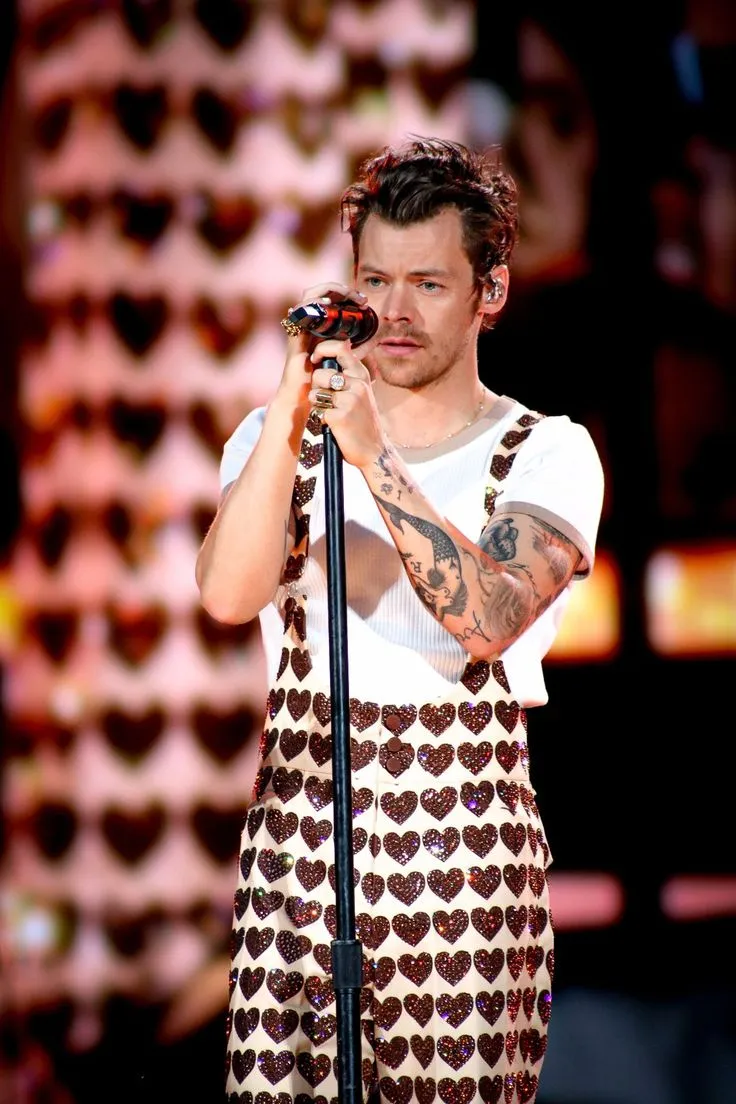 image_688acc3e6e11e She Signed Him Up Without Asking: The Bold Move by Harry Styles' Mom That Created a Star
