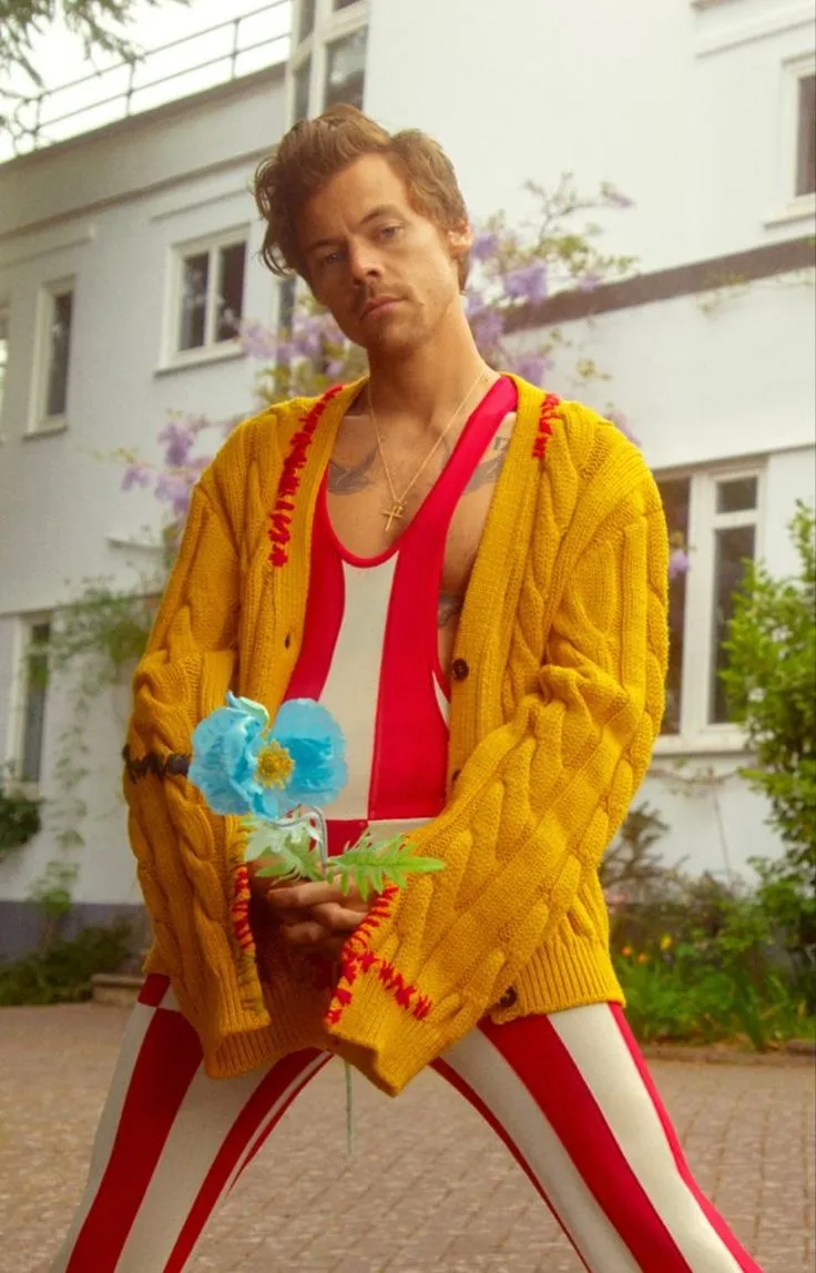 image_688c1a82c5148 Harry Styles Finally Breaks His Silence: The Private Struggle That’s Haunted Him for Years