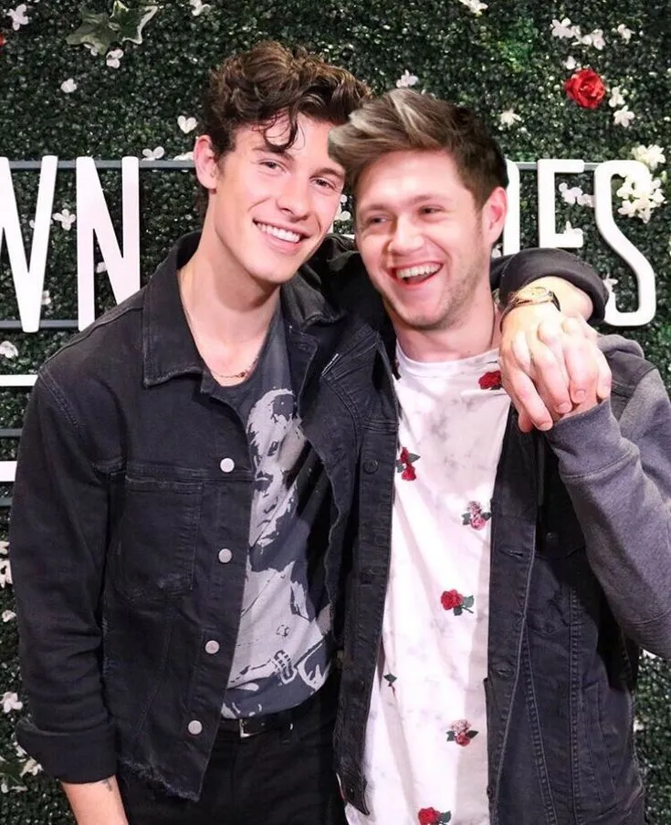 Fans Are Losing It Over Viral Theory Claiming Shawn Mendes and Niall Horan Were Secretly Dating — The Clues Were There All Along