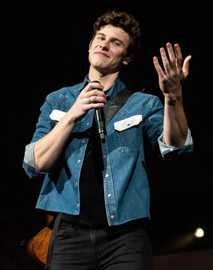 image_688c2c7ed9b20 Why Did Shawn Mendes Highlight a Fan’s Shirt Saying ‘My Boyfriend Is on That Stage’? The Subtle Message Everyone's Talking About