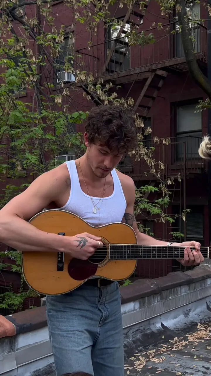 Shawn Mendes Wrapped in the Rainbow — The Powerful Statement That Has Everyone Talking