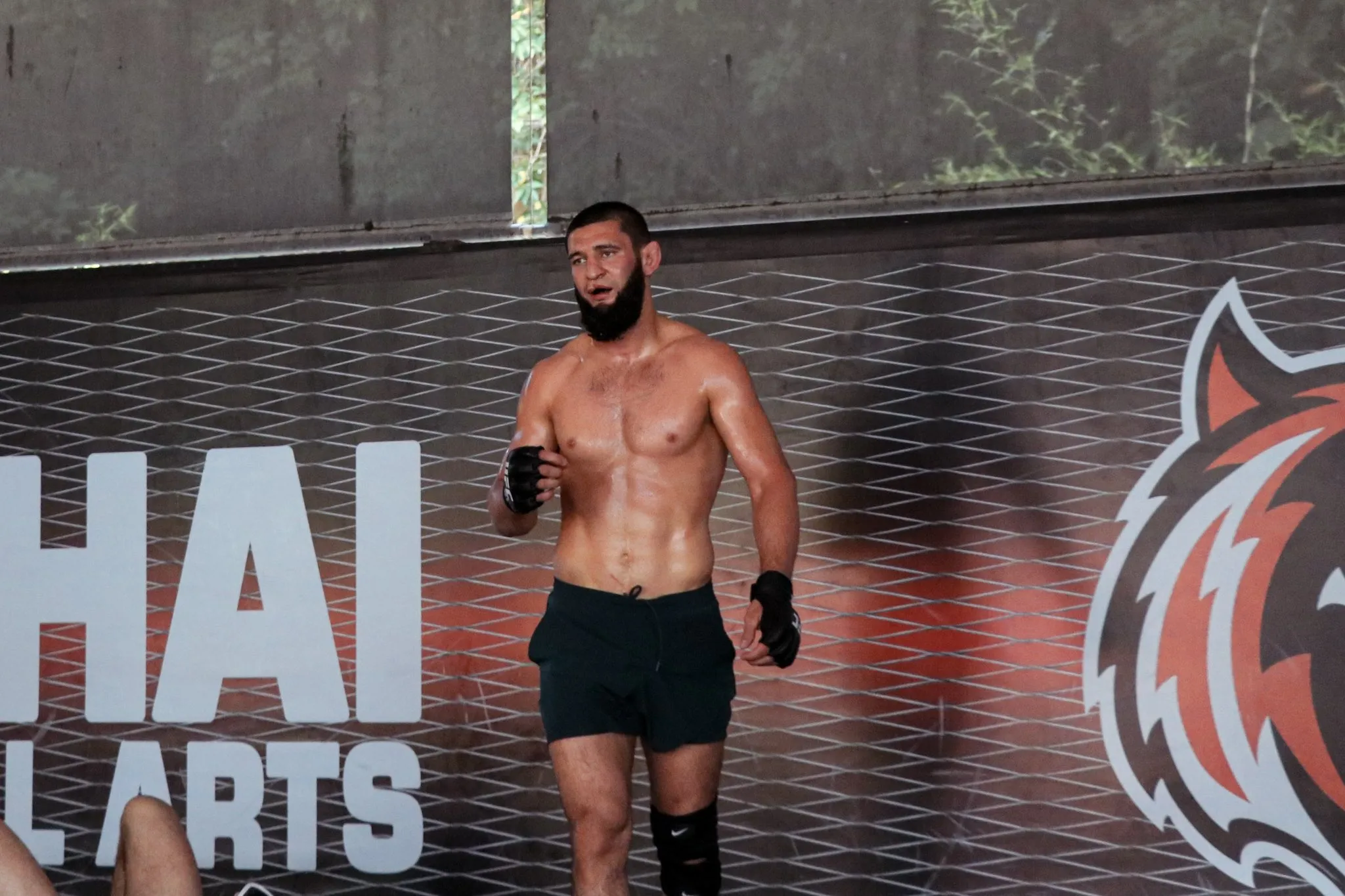 image_688c67621881f They no longer believe in Chimaev” – What made more than 80% of the audience turn their backs, placing absolute faith in Du Plessis to win?