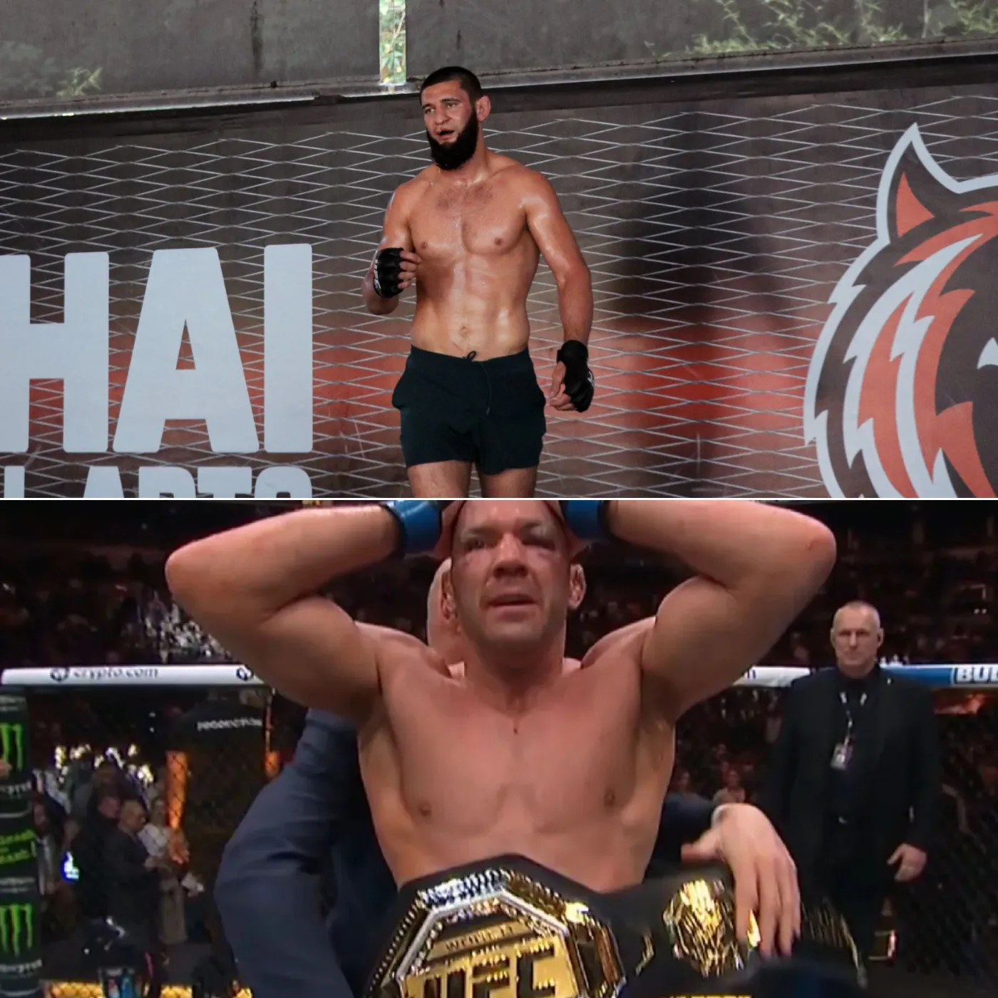 This is a real analysis based on audience survey of votes for championship candidates of 2 players Du Plessis & Khamzat Chimaev