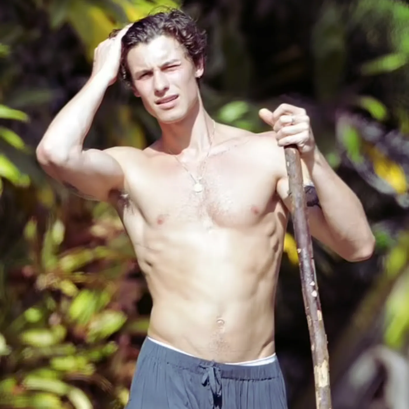 image_688e2ce20a20c The One Thing That Makes Shawn Mendes and Robert Irwin Scarily Similar