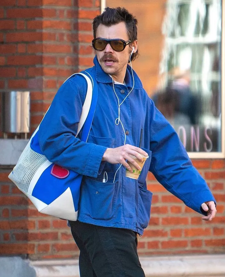 Harry Styles Seen Getting Close to Belgian Designer — Just Weeks After That Viral Mystery Kiss