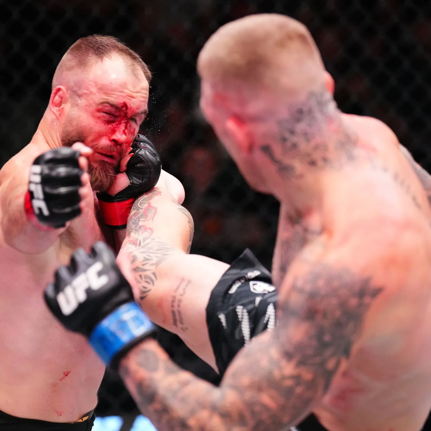 After the Bloodshed: What the Media and Fans Are Saying About Rebecki vs Duncan