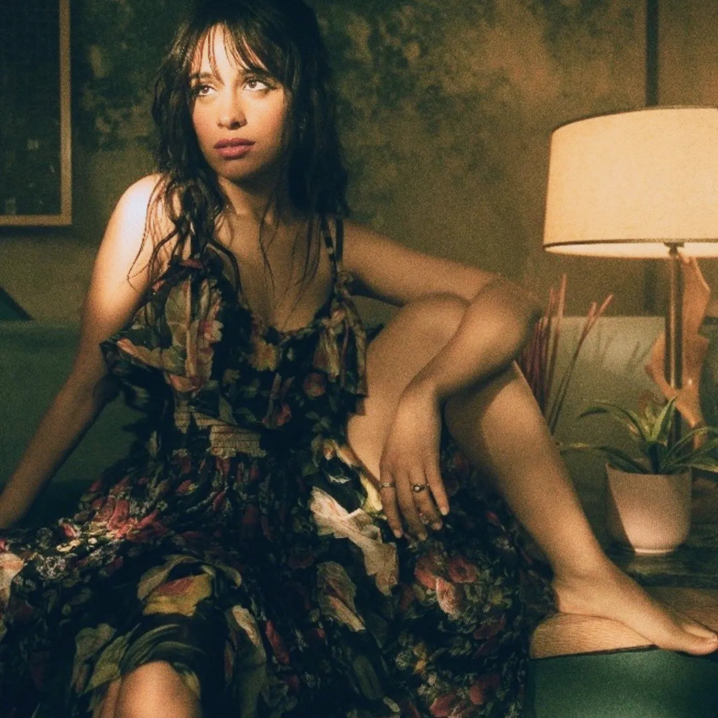 image_68904102d1713 Havana Almost Got Canceled, Camila Cabello Fought Back With THIS