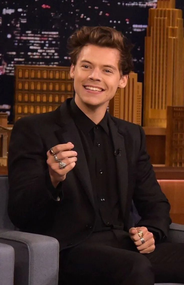 image_6892b635e92a9 Harry Styles Just Redefined Beauty — And It Has Nothing to Do With Looks