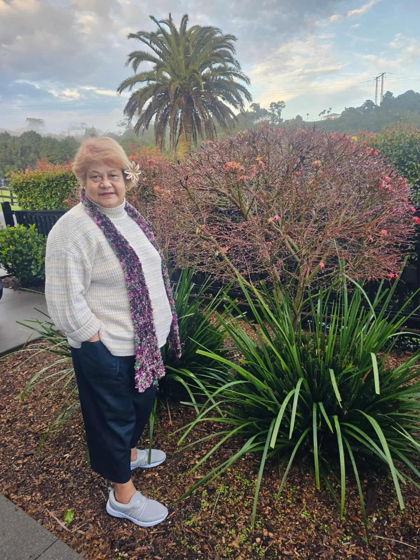 image_6892d4379e223 The internet has been gripped by a viral act by Joseph Parker in Brisbane.