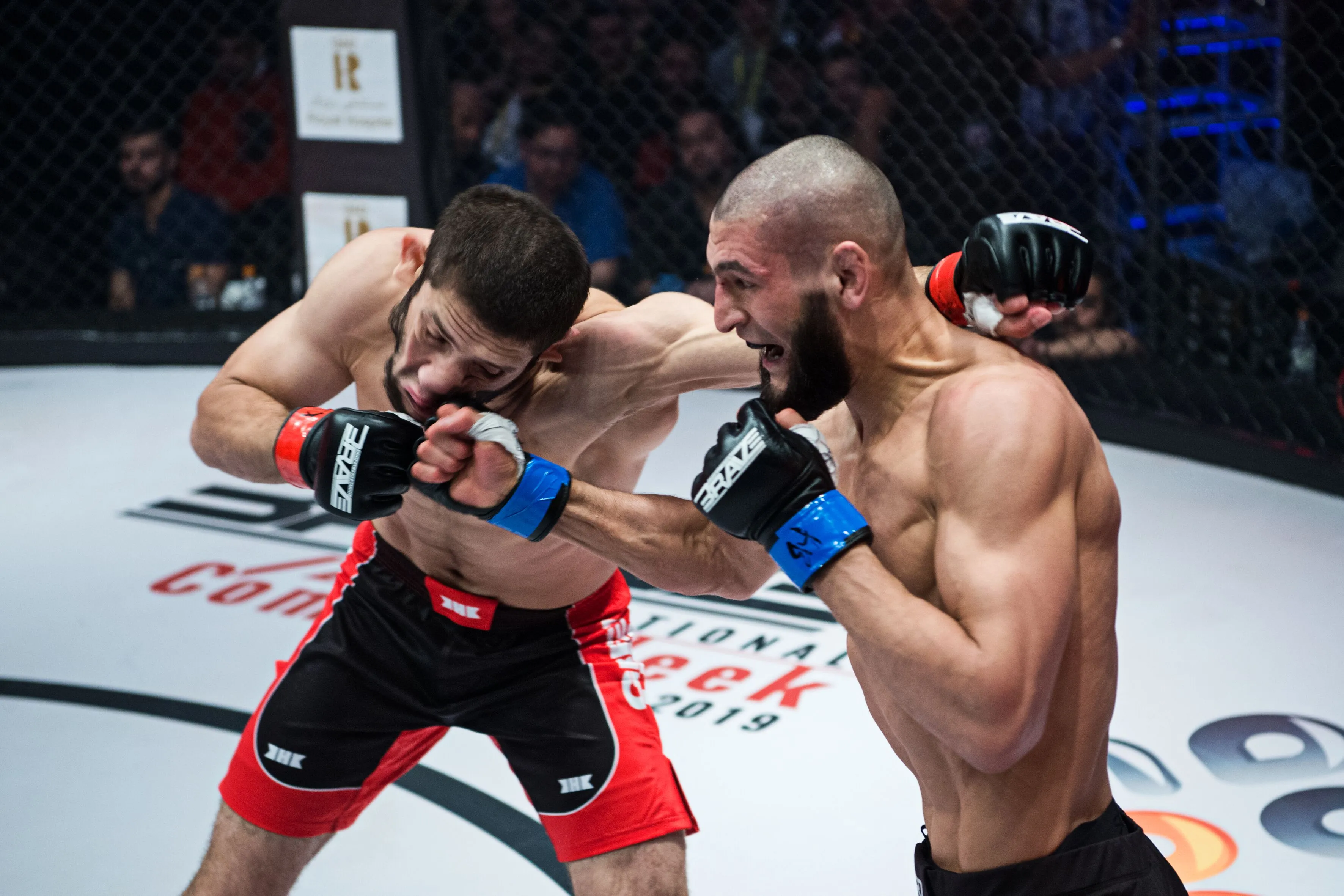 image_68930542a2f09 The Bug Killer Is Back: Is Chimaev Next on Du Plessis' Hit List?