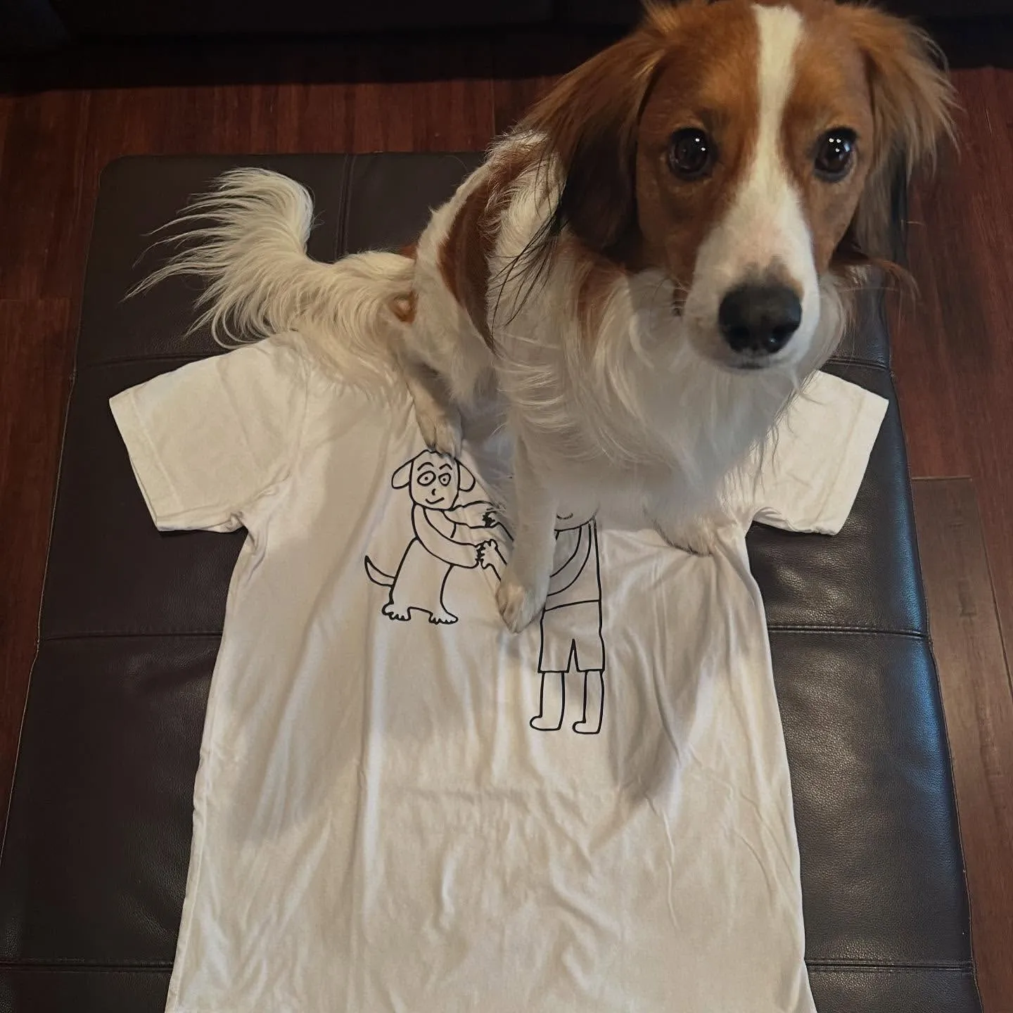 image_68930c9476783 Shohei Ohtani is so addicted to his dog that he has to smell this part of his dog every day.