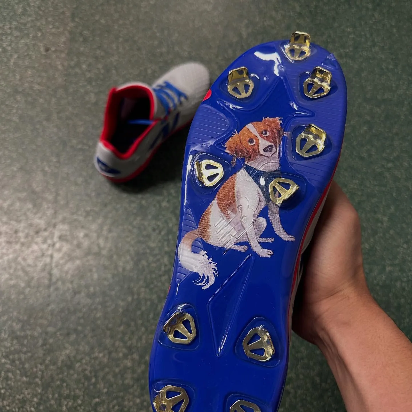 image_68930c957afba Shohei Ohtani is so addicted to his dog that he has to smell this part of his dog every day.