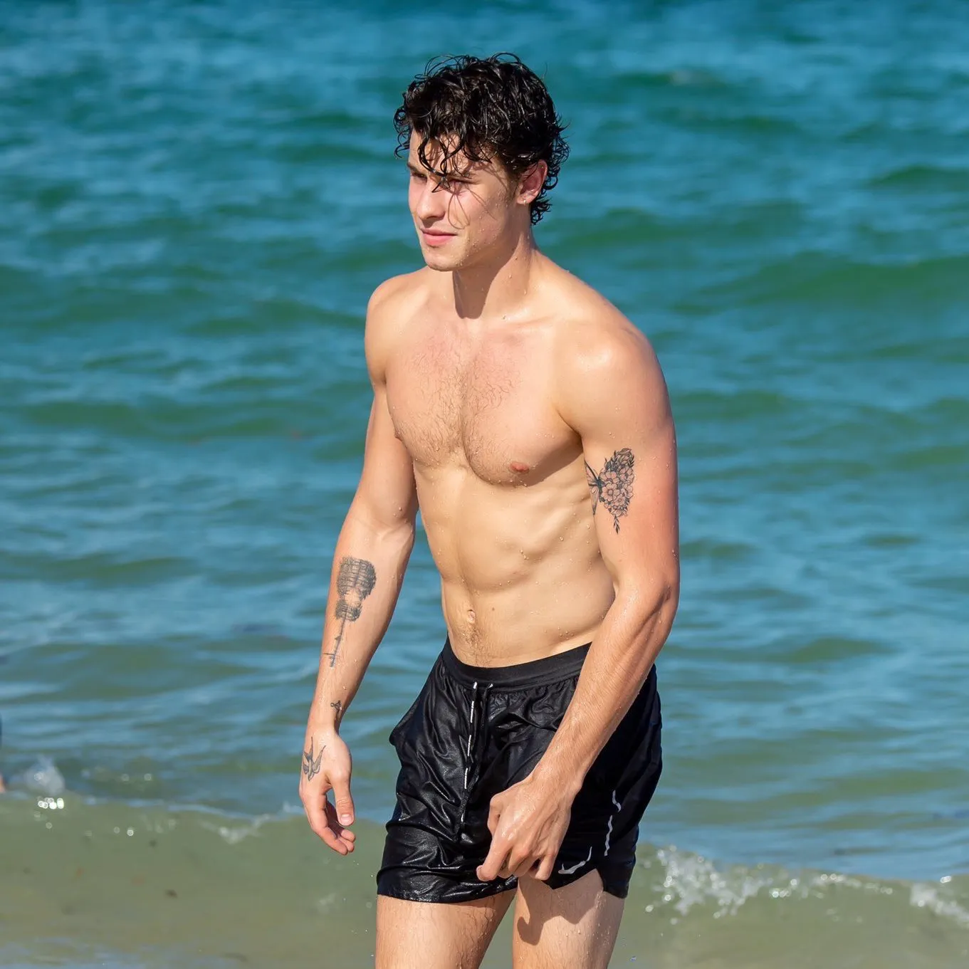 Shawn Mendes Fought to Hide This — But the Internet Just Uncovered the Truth That Changes How Fans See Him Forever
