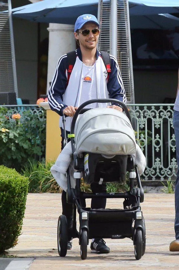 One Shocking Detail in Louis Tomlinson’s Son’s Birth Record Just Shook the Internet — Fans Say This Changes Everything