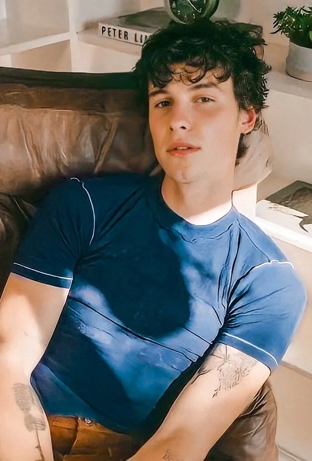 image_68955f439d005 Shawn Mendes Secretly Moves Into Cozy Cotswolds Village After Falling for the Charm of English Countryside Life