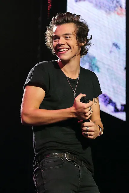 image_68957b220c5ff Thought 1D Drama Died in 2015? – Then Harry Said 6 Words: “Who Even Are We Now?