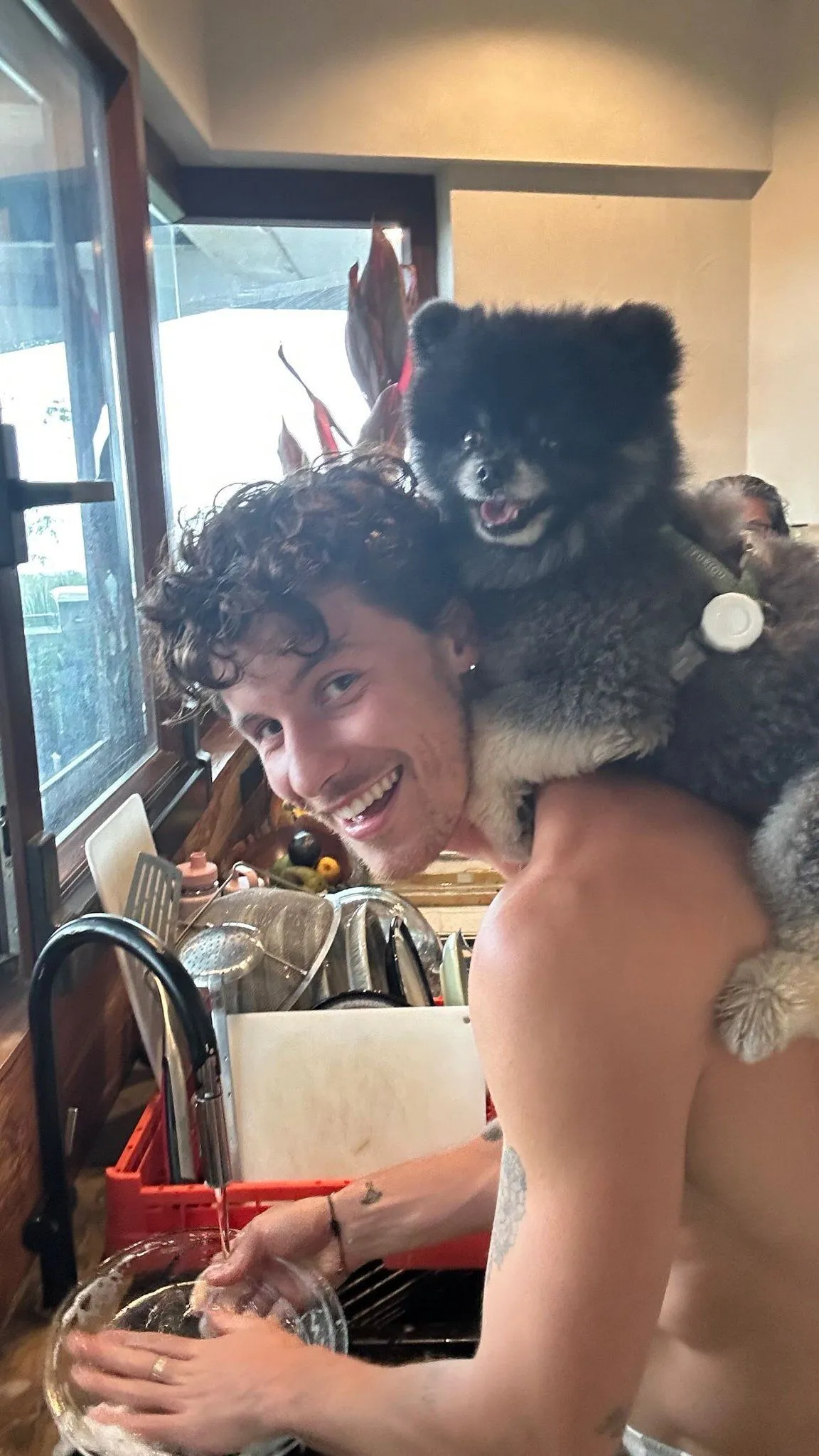 The 27-Year-Old Star Chooses a Life in Hiding — But How Long Will Fans Keep Their Patience?