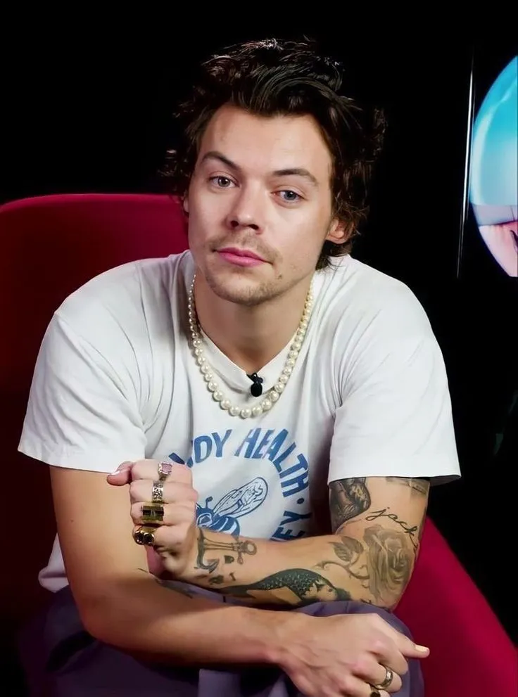 Harry Styles Turns Into the Ultimate Cuddle King After a Few Drinks — Fans Can’t Handle the Adorable Chaos