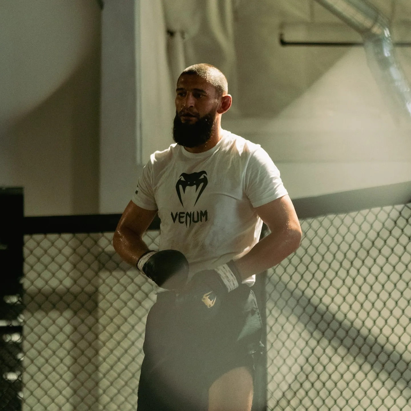 image_689970466bf68 Dricus Du Plessis is confident in his ability to tame the weak wolf Khamzat Chimaev right in the UFC 319 ring with just a small trick.