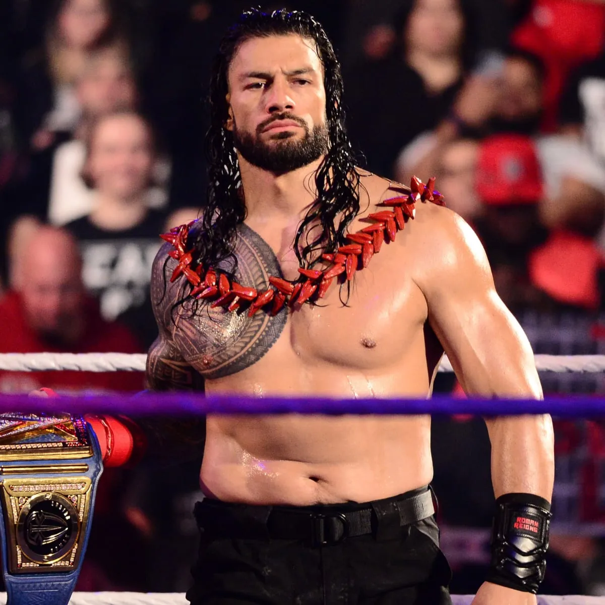 image_689977557a37e It’s Official: Roman Reigns Set to Shake Up WWE Clash in Paris — Triple H Drops the Bombshell