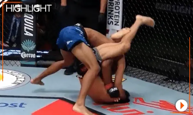 image_68999111e1201 What moment stunned the entire UFC? This viral punch by Elijah Smith made everyone mention the legend Rampage Jackson!