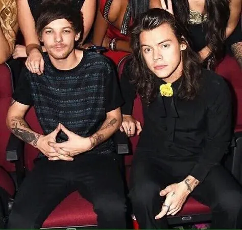 image_689aa7e8790d2 Louis Tomlinson Was Fighting a 102°F Fever — Then Harry Styles Did This and the Arena Lost It