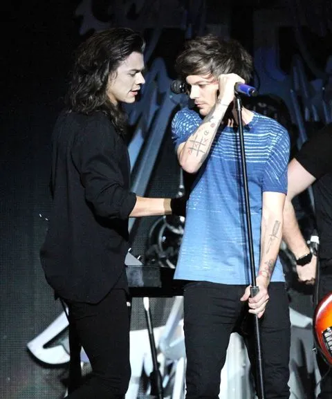 Louis Tomlinson Was Fighting a 102°F Fever — Then Harry Styles Did This and the Arena Lost It