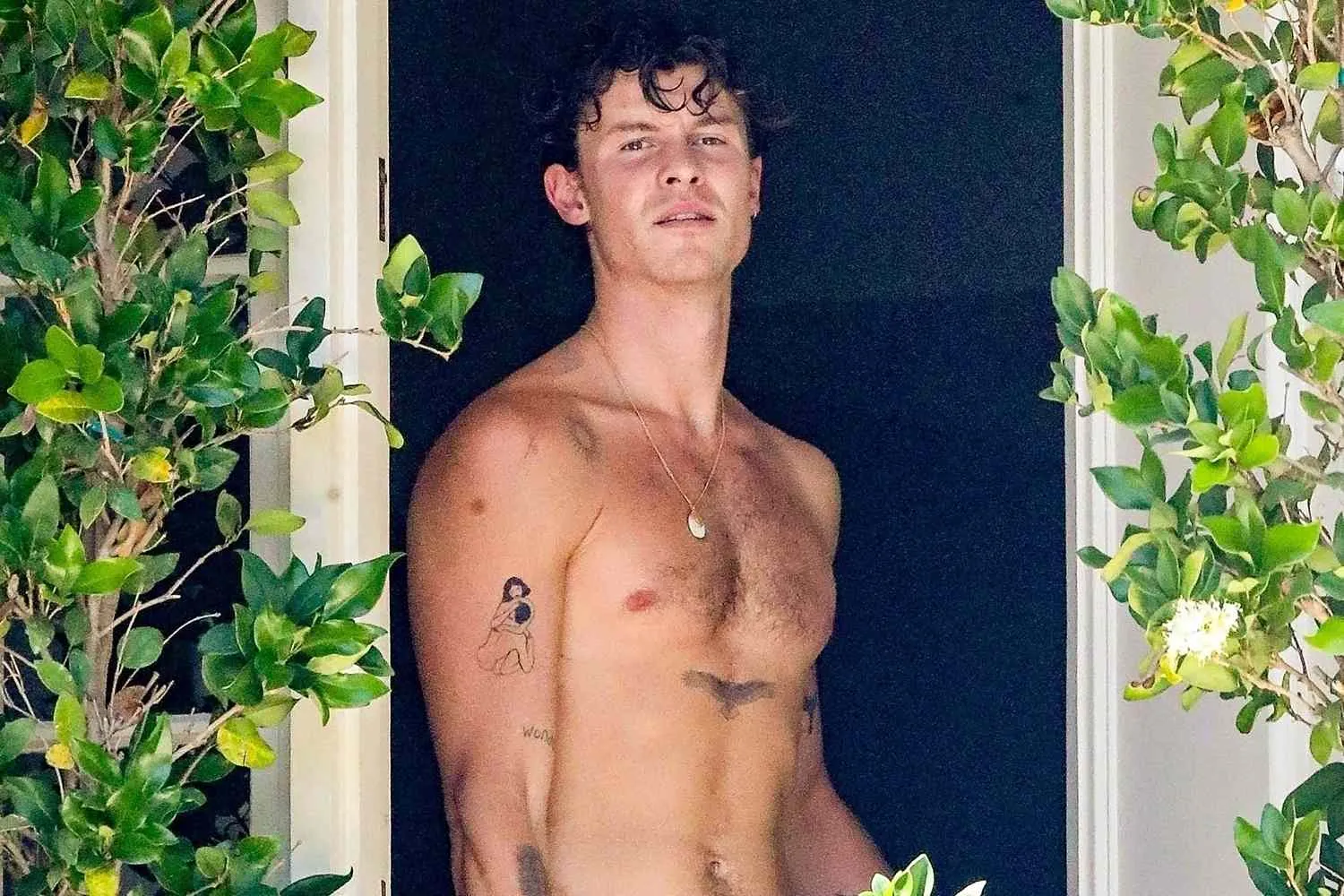 Can You Spot the Mystery in Shawn Mendes’ New Tattoo? Could It Be Linked to an Album Like ‘Wonder’?