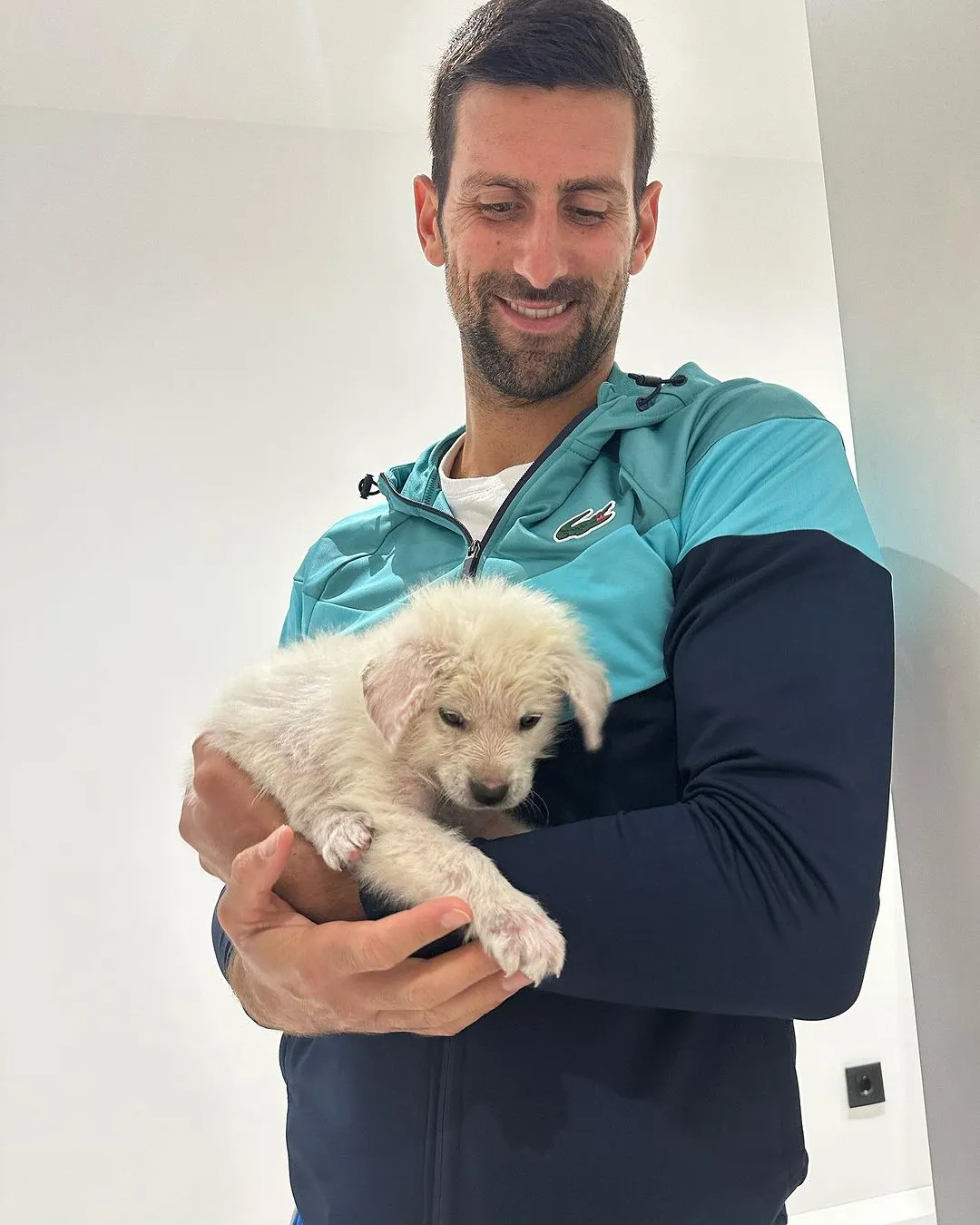 image_68a00c56b3fa4 Novak Djokovic Quietly Saved a Dog Shelter — And Gave 47 Abandoned Souls a Second Chance at Life