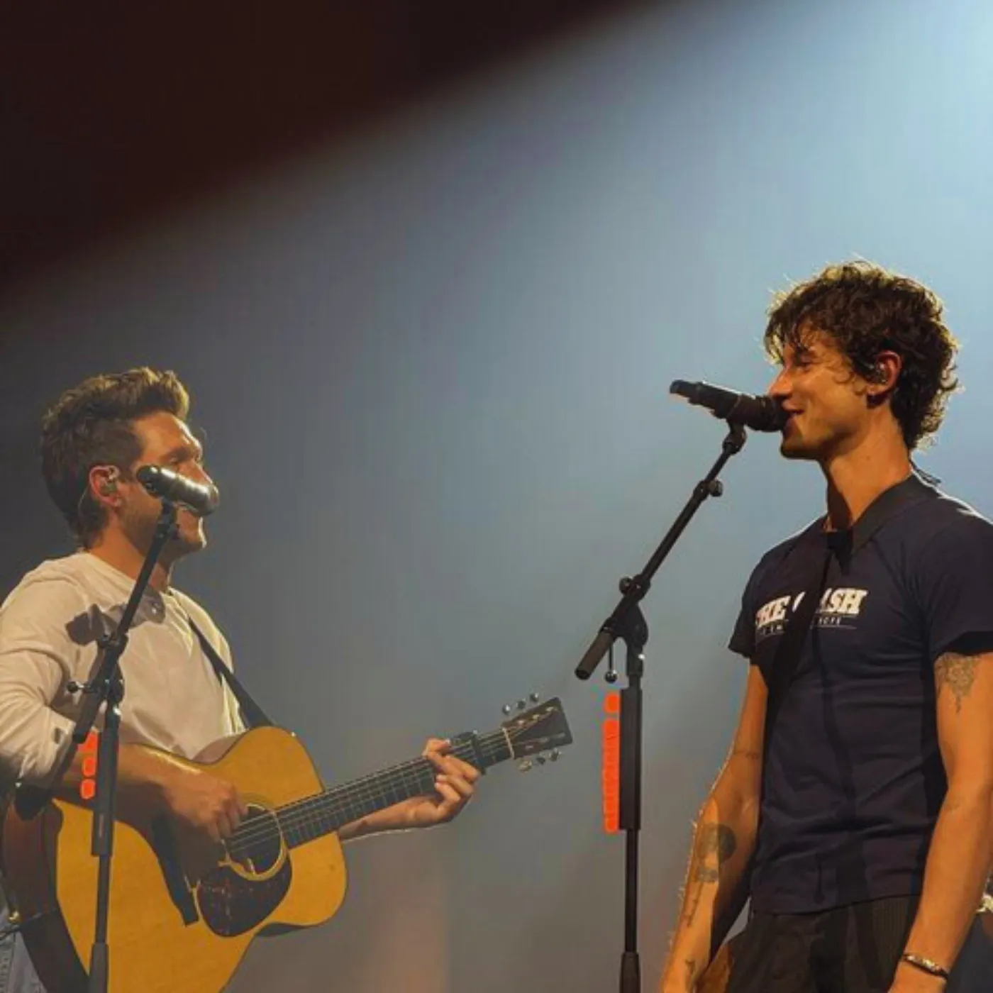 image_68a202b03048a Shawn Mendes Stumbles on Stage as Niall Horan’s Gaze Freezes Him