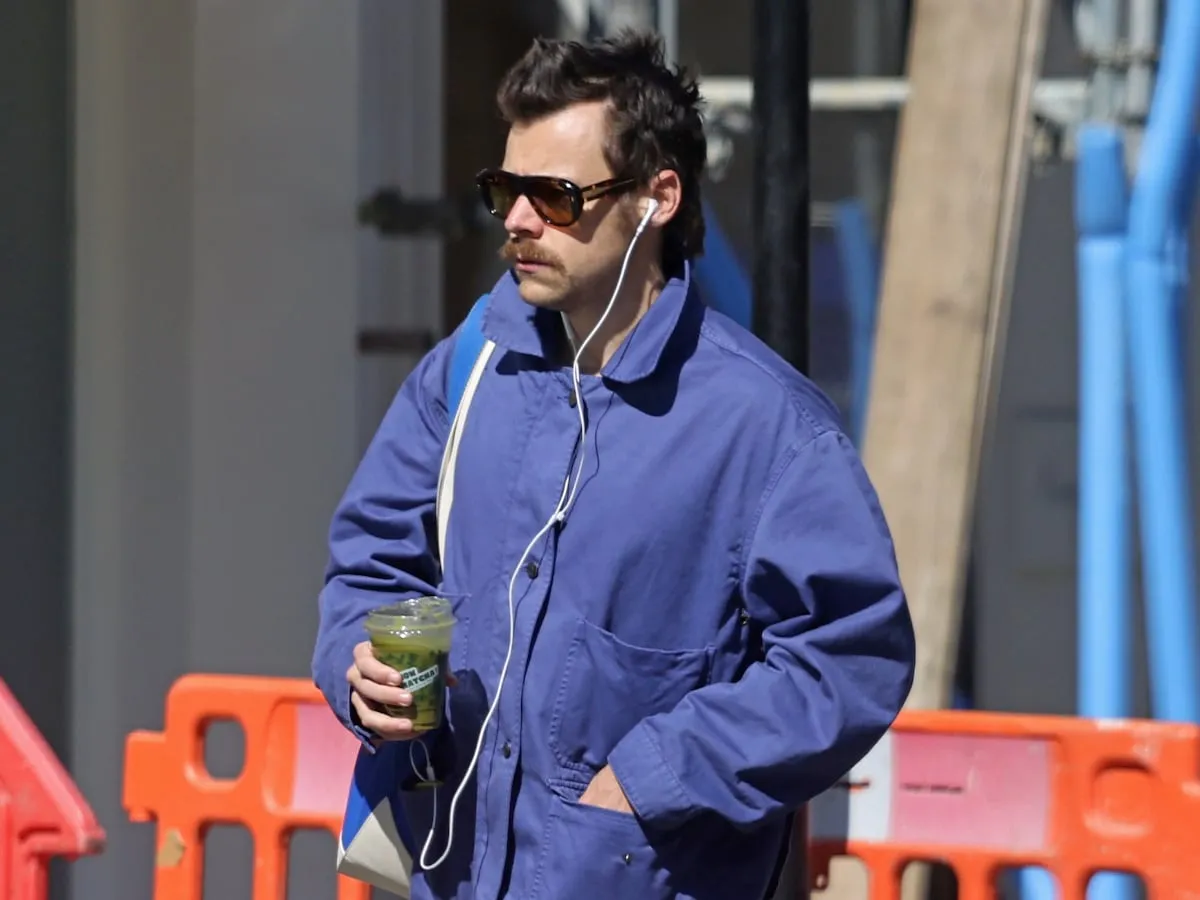 image_68a28177589af Harry Styles Spotted Alone in the Park — The Secret Behind His Quiet Day Has Fans Losing Their Minds